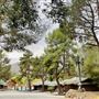 Whispering Pines Lodge