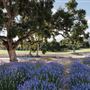 Carmel Valley Ranch Hotel