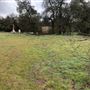 Red Thorne Ranch / The Barn Loft / Mini Petting Zoo