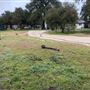 Red Thorne Ranch / The Barn Loft / Mini Petting Zoo