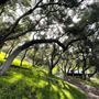 Canyon Ranch