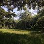 Canyon Ranch