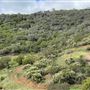 Canyon Ranch