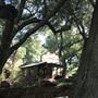 Canyon Ranch