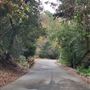 Franklin Canyon Park - Santa Monica Mountains Conservancy - SMMC