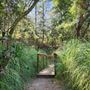 Franklin Canyon Park - Santa Monica Mountains Conservancy - SMMC