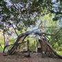 Franklin Canyon Park - Santa Monica Mountains Conservancy - SMMC