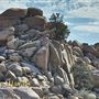 Boulder Gardens Sanctuary
