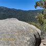 Idyllwild Nature Center - Forest
