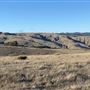 Rosko Ranch