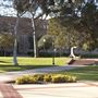 University of California, Los Angeles - UCLA