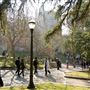 University of California, Los Angeles - UCLA