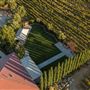 Wiens Cellars