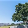 Pepperdine University