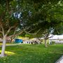 California Mid-State Fair - 16th DAA