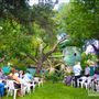 Le Chene French Cuisine and Alonso Family Vineyards