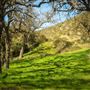Pinnacles National Park - NPS