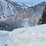 Cinnamon Bear Inn - Mammoth Lakes