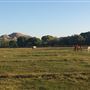 Kemper Campbell Ranch