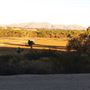 Kemper Campbell Ranch