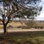 Kemper Campbell Ranch