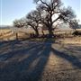 Kemper Campbell Ranch