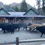 Kennedy Meadows Resort & Packstation