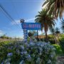 Cadillac Jacks Cafe & Pink Motel