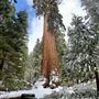 Sequoia and Kings Canyon National Parks & Crystal Cave
