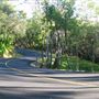 Western Placer County Roads