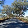 Western Placer County Roads