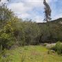 Stone Meadows Ranch