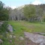 Stone Meadows Ranch