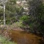 Stone Meadows Ranch