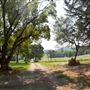 Sinclair Family Farm