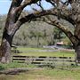 Alpine Ranch