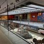 Museum of Natural History, Los Angeles
