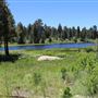 Bluff Lake Reserve