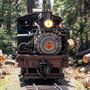 Yosemite Mountain Sugar Pine Railroad