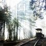 Yosemite Mountain Sugar Pine Railroad