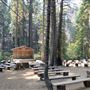 Yosemite Mountain Sugar Pine Railroad
