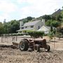 Colvard Ranch / Painted Pony Farm