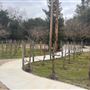 Calamigos Ranch