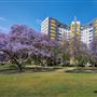 Park La Brea Community