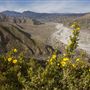 Whitewater Preserve