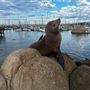 Monterey Harbor & Marina
