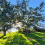 Sage Ranch Park