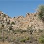 Fairfield Inn & Suites Twentynine Palms @ Joshua Tree National Park