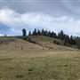Browder Ranch