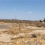 Belle's Diner